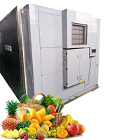 Automatische Roestvrijstalen Mini Droger Dehydrator Voor Familie Gezonde Kopra Citroen Banaan Tomaat Fruit Drogen Plc Tandwielkern
