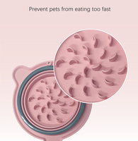 Bol pour chien pliable écologique en silicone, double, portable, pour usage intérieur, distributeur de nourriture pour animaux de compagnie