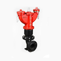 Hydrant d'incendie extérieur Taikong 2 voies en acier inoxydable et fonte ductile rouge DN150, type pilier à double sortie 1,6 MPa, personnalisable