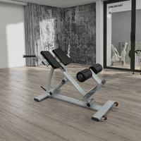 Chaise romaine professionnelle Dinuo de haute qualité pour entraînement de force, banc réglable 45 degrés pour abdominaux et hyperextension dorsale en métal