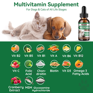Compléments alimentaires OEM pour animaux de compagnie, multivitamines liquides, glucosamine, oméga 3, biotine, pour chiens, soins de santé, flacons de prévention <span class=keywords><strong>des</strong></span> <span class=keywords><strong>puces</strong></span> - Product Image 6