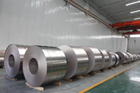 Tira/Rollo/Lámina de Titanio Modelo 0702 de China, de Alta Resistencia, Bajo Precio, Rentable, para Uso Industrial, Servicio OEM/ODM, Más Vendida