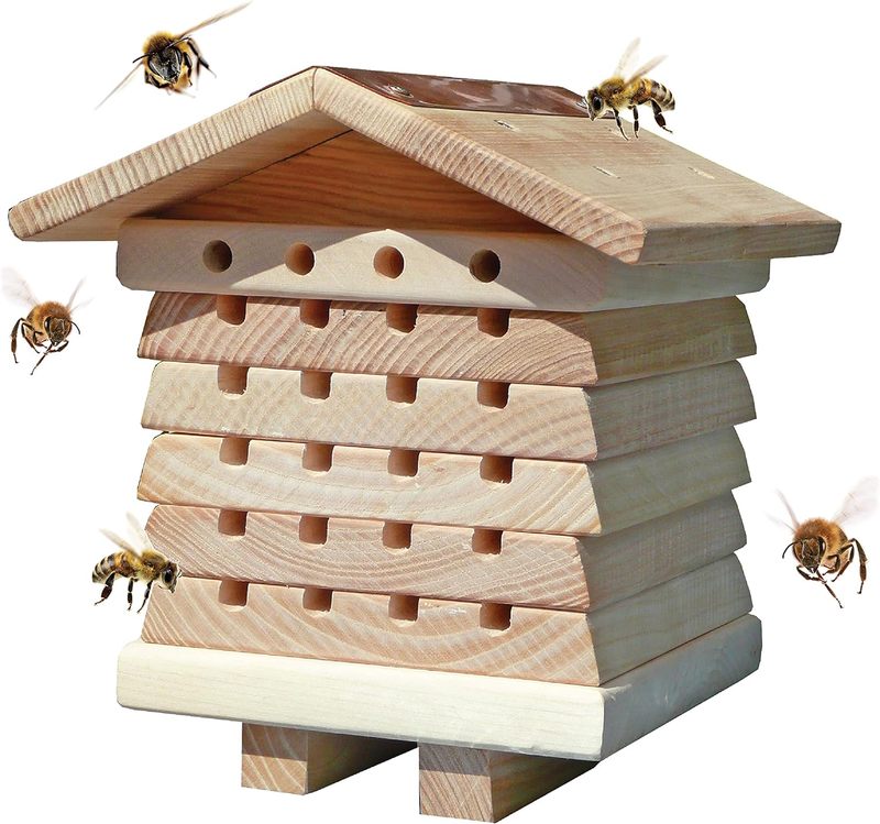 Solid Wood Modern Style Mason Bee