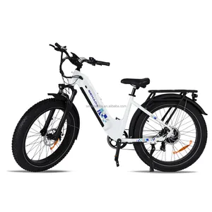 美国仓库仅ebike轮毂电机折叠电动自行车供应商脂肪轮胎自行车