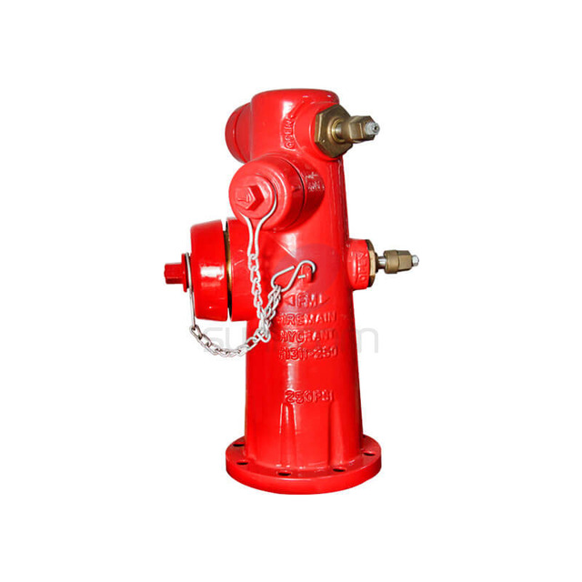 Wet-type American DN150 for Certified Fire Water Systems Hose Outlet with 2.5" Pump Interface 4.5" Connection