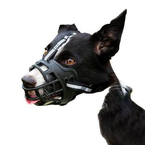 도매 2023 부드러운 실리콘 고무 개 총구 바구니 케이지 애완 동물 패턴 리본 소형 중형 대형 개 - Product Image 6