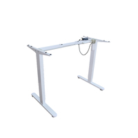 Bureau debout électrique à moteur unique, réglable en hauteur, de luxe, intelligent, pour le bureau, vente en gros