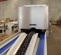 Defectdetectie Uiterlijk AI Fruit Diameter Maat Kleur Sortering CCD Beschadigde Mandarijn Citrus Visie Fruit Sorteermachine
