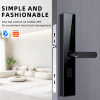 Serrure intelligente Bluelock Tuya Wifi APP avec contrôle à distance, empreinte digitale, entrée sans clé, OEM ODM, sécurité de niveau C, poignée de porte