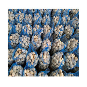 2025 China Fabricante <span class=keywords><strong>de</strong></span> ajo fresco Ajo <span class=keywords><strong>de</strong></span> alta calidad Plantación <span class=keywords><strong>de</strong></span> ajo natural Proveedores <span class=keywords><strong>de</strong></span> Shandong - Product Image 5