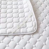 Housse de protection de matelas imperméable matelassée Drap-housse Anti-acariens Housse de matelas réglable antibactérienne Double King Queen Bed