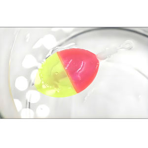 Flotador de Pesca Vertical de PVC Rígido Transparente con Botón de Presión, Accesorios de Pesca de la Marca Tackle Factory - Product Image 3