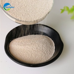 OT ALE Nimal EED robióticos 20 Billion/G Live East accharomyces erevisiae - Product Image 6