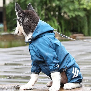 Impermeabile per Cani Casual Tutto-in-Uno in Poliestere, Poncho Antipioggia per Teddy, Pomeranian, Bichon Frise e Cani di Taglia Piccola e Media - Product Image 3