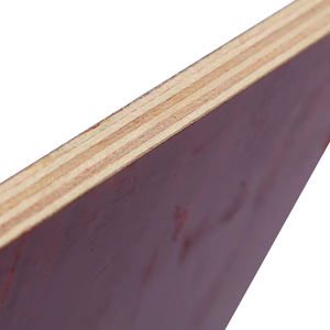 Conception écologique de <span class=keywords><strong>panneau</strong></span> de <span class=keywords><strong>contreplaqué</strong></span> peint imperméable de haute qualité pour des applications extérieures d'armoires de construction de style européen - Product Image 5