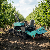 Tracteur chenillé compact multifonctionnel 35 CV style Panda pour petites exploitations agricoles et jardins, avec rétrocaveuse et rotoculteur