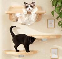 Étagère murale pour chat en bois de caoutchouc, ensemble de 3 pièces, lit pour chat en acrylique en forme de capsule spatiale, meubles muraux pour chat
