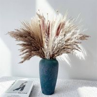 100pcs Set Rumput Pampas Boho Bunga Kering Dekoratif dan Tanaman Bunga Kering Yunnan Centerpiece Buket Grosir untuk Dekorasi Rumah