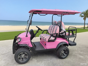 Côte à côte voiture <span class=keywords><strong>électrique</strong></span> 4x4 hors route <span class=keywords><strong>Buggy</strong></span> Mini Jeep voiturette de golf avec CE - Product Image 2
