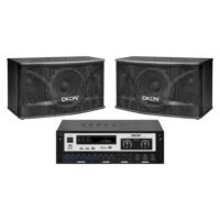 Système audio complet avec haut-parleur de graves OKON 8 pouces et amplificateur Bluetooth pour KTV, bar et petites scènes.