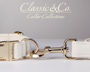 Cream Veet, conjunto de correa de collar de perro personalizado, lazo de flores para mascotas pequeñas, medianas y grandes, placa de nombre silenciosa grabada, regalo de cachorro de boda - Product Image 6