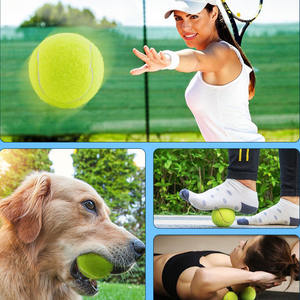 Toptan Fabrika Evcil Hayvan Eğitim Çiğneme Topları Köpek Oyuncakları Kişiselleştirilmiş Logolu Promosyon Hediyesi Evcil Hayvan Tenis Topu Oyuncakları - Product Image 6
