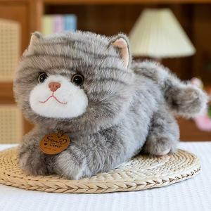 All'ingrosso realistico Tabby Multi colore gatto peluche gattino giocattolo peluche bambole di animali di pezza - Product Image 6
