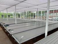 Système de culture hydroponique Table de culture d'inondation 4 * 8FT banc roulant personnalisé à hauteur réglable Table de plantation