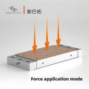 Sensore Piatto Antivibrazioni di Grandi Dimensioni per Monitoraggio in Miniera, Macchinari Pesanti e Controllo della Forza di Carico Elevata - Product Image 2