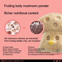 MOJO Vente en gros de nourriture pour animaux de compagnie Friandises pour chats Poulet Champignon Lyophilisé Stimulation de l'immunité Collations pour chiens