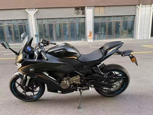 QJMOTOR SRK250 250cc 并联双缸 ABS KYB 单摇臂运动摩托车 适合初学者 适合日常通勤 - Product Image 4