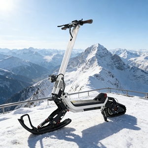 <span class=keywords><strong>Kit</strong></span> de conversion électrique pour <span class=keywords><strong>scooter</strong></span> des neiges, <span class=keywords><strong>scooter</strong></span> des neiges électrique pour adultes, voyage hivernal sur neige, directement de l'usine - Product Image 3