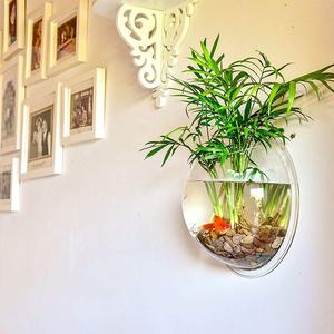 <span class=keywords><strong>Aquarium</strong></span> mural suspendu en acrylique transparent, mini <span class=keywords><strong>aquarium</strong></span> demi-rond en acrylique, vente chaude - Product Image 4