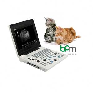 Pasokan pabrik emas mesin <span class=keywords><strong>Ultrasound</strong></span> manusia - Product Image 1