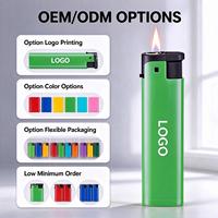 Briquet de poche en plastique pour camping, extérieur et intérieur – Pratique pour allumer bougies et cigarettes