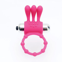 Kaninchen-Silikon-Vibrator für Weibliche Klitoris-Stimulation Wasserdicht Ejakulations-Verzögerung Sexspielzeug für Paare