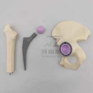 מודל החלפת מפרק ירך, מודל רופא מנתח רפואי של רופא-חולה, מיני גירסה - Product Image 2