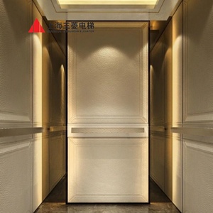 Ascenseur à commande AC à prix abordable avec décoration gravée miroir pour maison, villa, hôtel – Ascenseurs à prix compétitif - Product Image 2