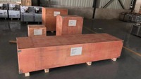 Ligne de production de machine à fabriquer des pâtes automatiques entièrement automatique de 150 kg/h pour les macaronis et les spaghettis