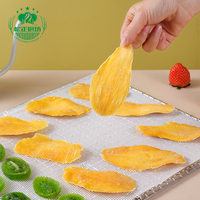 Tapis de déshydratation en silicone pour fruits et légumes, qualité alimentaire, résistant à la chaleur, compatible lave-vaisselle, pour four et cuisson en cuisine - Grande Vente