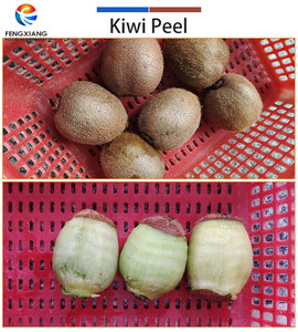 Fengxiang Fruit Peeling Coring and Cutting Machine 3-in-1 Apple Pear Tomato Kiwi Peeler Machine - Product Image 4