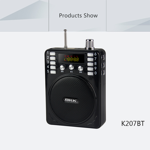Wireless for Mini Voice Amplifier with FM Radio and 5W Output (K207BT)