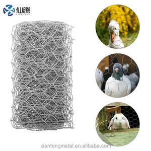 Precio competitivo, <span class=keywords><strong>Hexagonal</strong></span> gallinero, cercado, rollo de malla de alambre de Metal, servicio de soldadura de rejilla de malla de alambre de pollo de aves de corral barato - Product Image 2