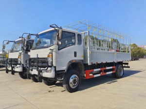 Camion de transport multi-usage spécial 6x4 pour les voyages en grand groupe - Product Image 4