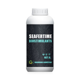 Seaweed Liquid <strong>Fertilizer</strong> for <strong>Tomato</strong> - Product Image 1