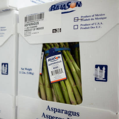 corflute Vegetable Plastic Box Asparagus Box