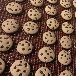 El yapımı toplu sevimli sağlıklı Pet eğitim gıda kedi köpek bisküvi donut aperatifler davranır destek özel - Product Image 6