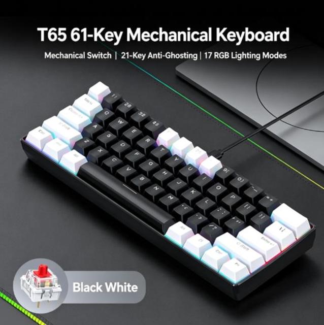 T65 61 Key Mechanical Keyboard Wired Type C RGB Backlit 17 Lighting Modes 21 Key Anti Ghosting Programmable Gaming Desk Laptop