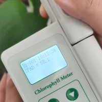 Analyseur de chlorophylle BIOBASE PCM-A pour l'agriculture et le laboratoire
