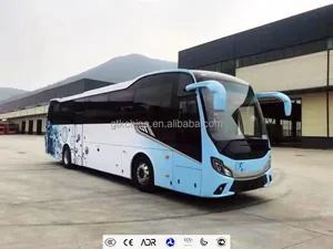Autopista Autobús de lujo Autobús turístico Autobús de pasajeros de bajo precio Motor diésel 50 asiento 12m Fabricante y proveedor
